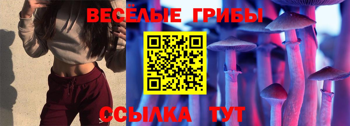 Галлюциногенные грибы мицелий  Вход с VPN  Светлоград 